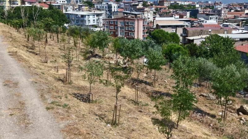 İzmir Büyükşehir Belediyesi, 13 Ağaçlandırma sahasında toplam 1 milyon 522 bin metrekarelik alanda 41 bin bitkiyi toprak