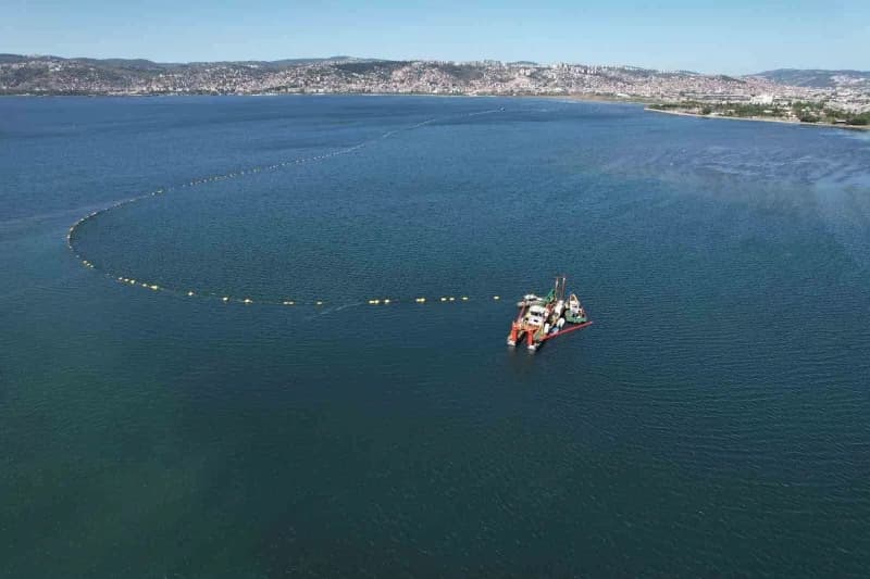 İzmit Körfezi'nin ekolojik yapısının iyileştirilmesi ve deniz canlıları için daha sağlıklı yaşam ala