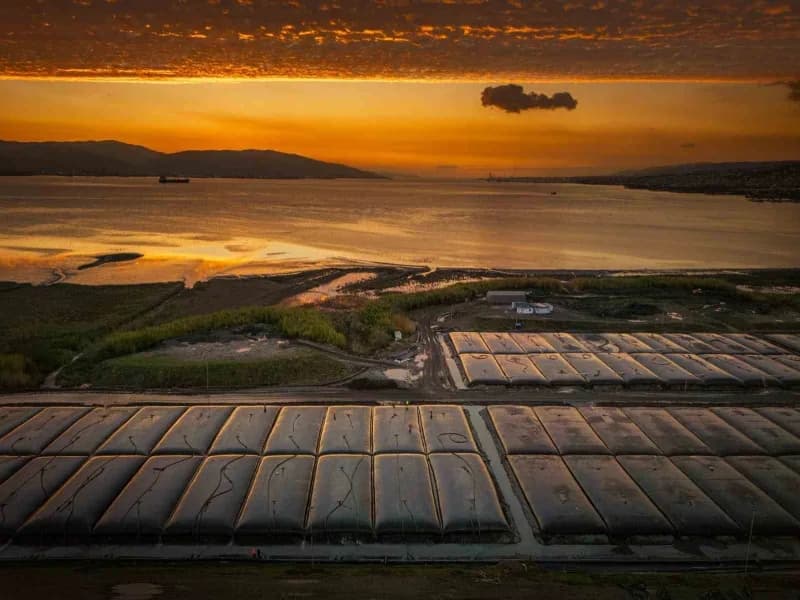 İzmit Körfezi'nin ekolojik yapısının iyileştirilmesi ve deniz canlıları için daha sağlıklı yaşam ala