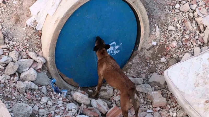 Bursa’nın İnegöl ilçesinde İnegöl Belediyesi tarafından tahsis edilen enkaz alanı, Türkiye’nin farklı illerinden gelen A