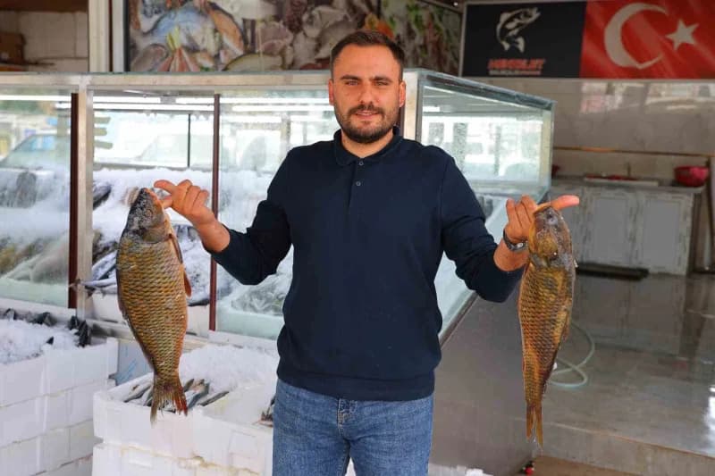 Balıkçı Hakan Gürbak