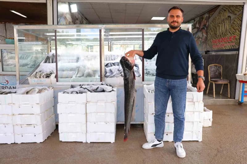 Kahramanmaraş balık pazarında tezgahlarda çeşitli deniz ve tatlı su balıkları sergileniyor