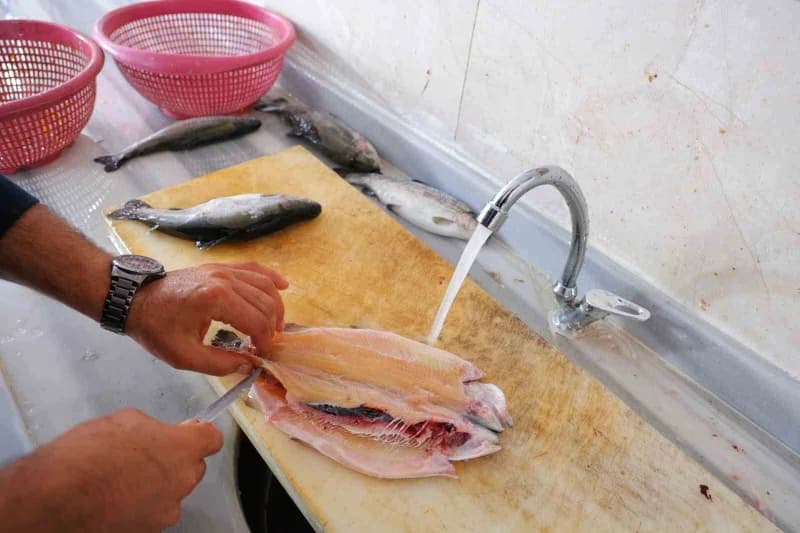 Denize kıyısı olmayan Kahramanmaraş’ta balık tezgahları, sezonun başlamasıyla birlikte çeşitlenirken balık pazarında da