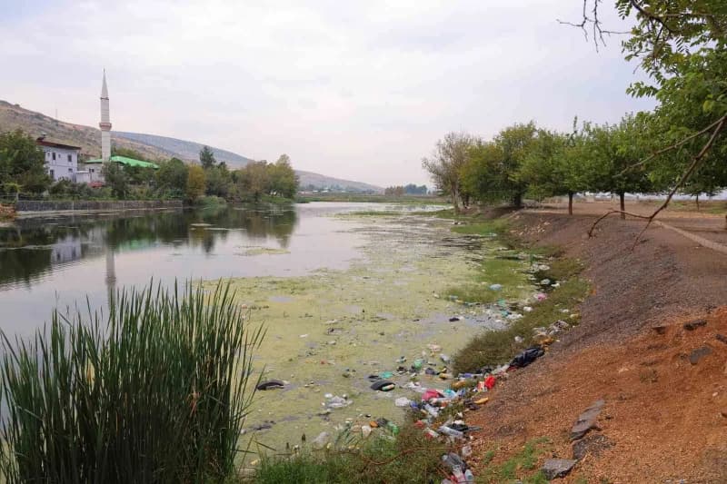 Yaklaşık 1,5 kilometre arayla bulunan iki gölet, farklı renklerdeki nilüfer çiçeklerine ev sahipliği