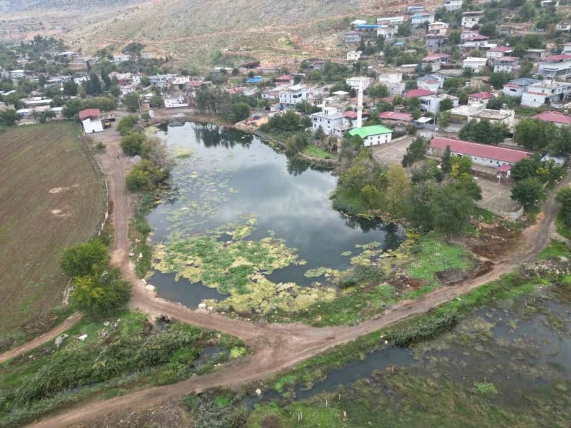 Yaklaşık 1,5 kilometre arayla bulunan iki gölet, farklı renklerdeki nilüfer çiçeklerine ev sahipliği