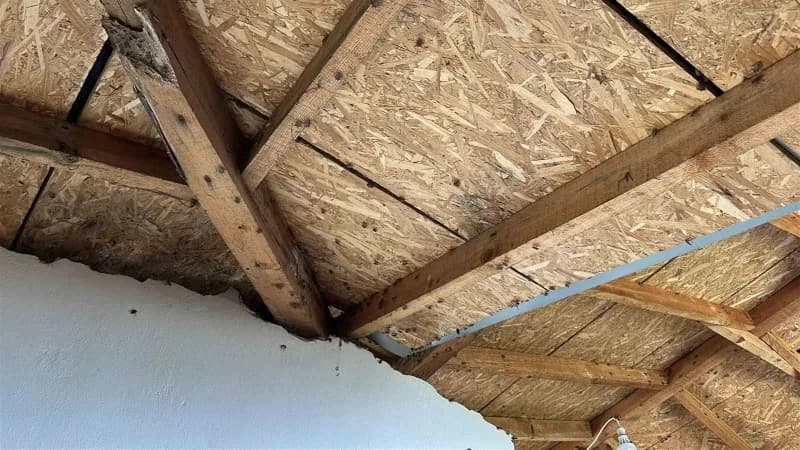 Evlerin duvarlarını ve ağaçları saran, tarıma da ciddi zarar veren böceklere karşı vatandaşlar, hem ilaçla hem de bakımı