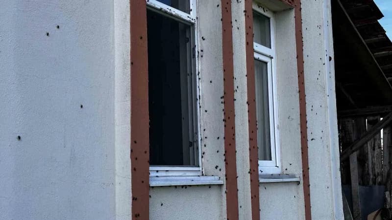 Türkiye'de ilk kez 2017 yılında Artvin ve İstanbul'da görülen kahverengi kokarca böceği, Sakarya'nın Ferizli ilçesindeki
