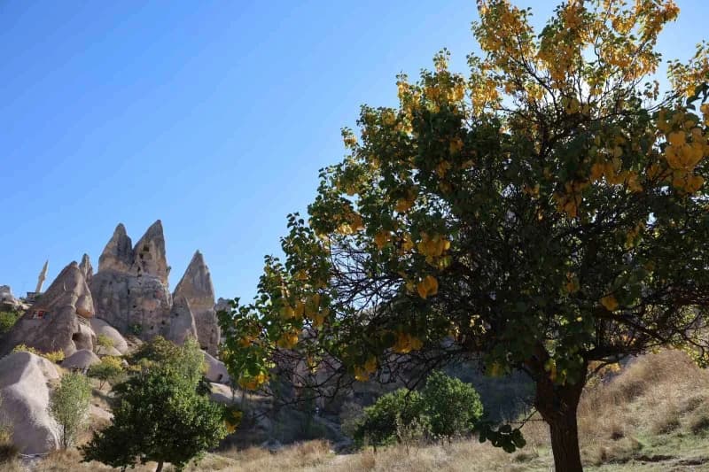 Doğal güzelliği, tarihi dokusu ve mistik atmosferiyle her mevsim ayrı bir güzelliğe bürünen Kapadoky
