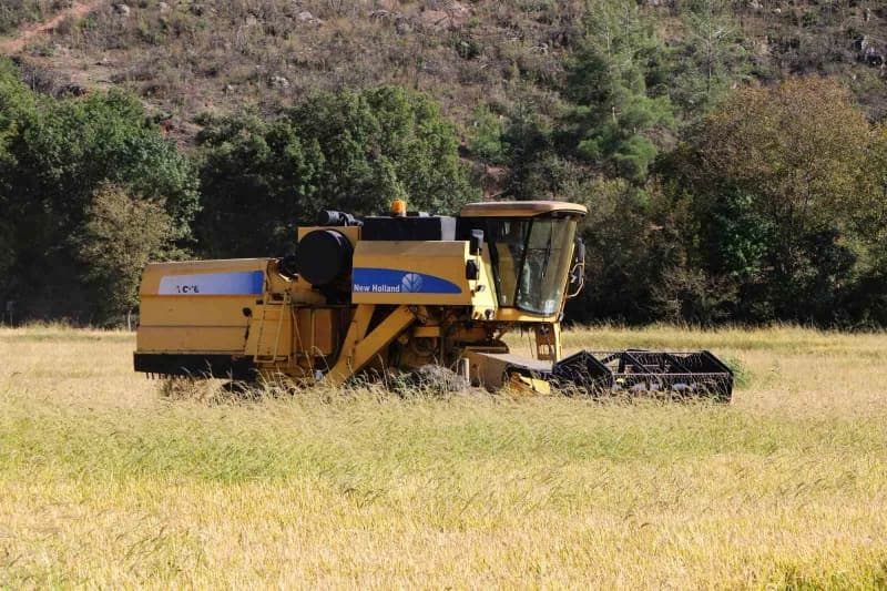 Karabük'te çeltik hasadı başladı