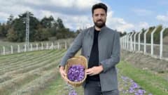 Karabük Safranbolu’da teknoloji destekli safran tarlasında üretim yapan çiftçi