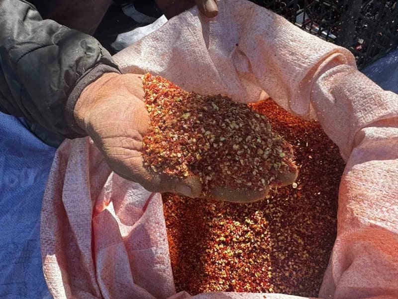 Bursa'nın Karacabey ilçesinde yaşayan 90 yaşındaki Şükriye İnan, yüksek işçilik maliyetleriyle mücadele eden oğlunun tar