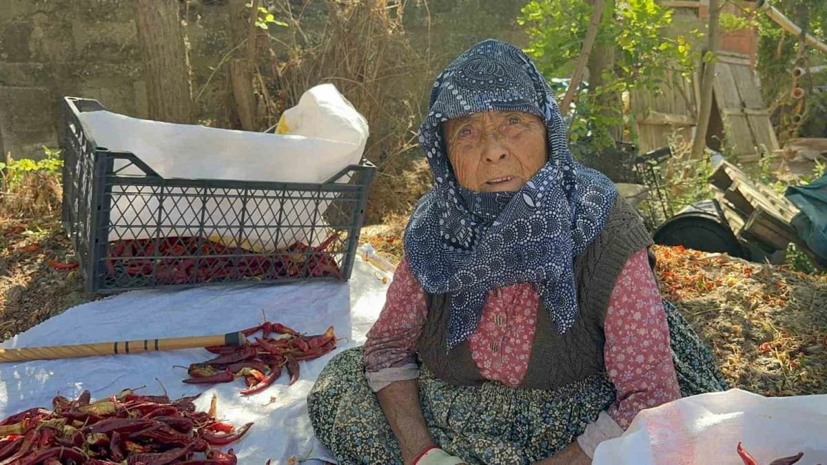 Bursa'nın Karacabey ilçesinde yaşayan 90 yaşındaki Şükriye İnan, yüksek işçilik maliyetleriyle mücadele eden oğlunun tar