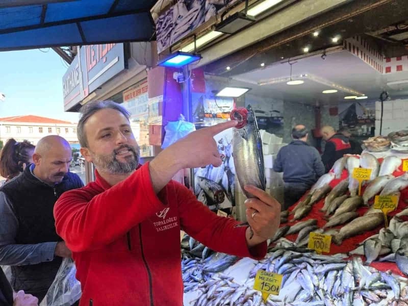 Palamut bolluğu bir yandan vatandaşın yüzünü güldürürken bir yandan da balıkçılarda endişe uyandırıy