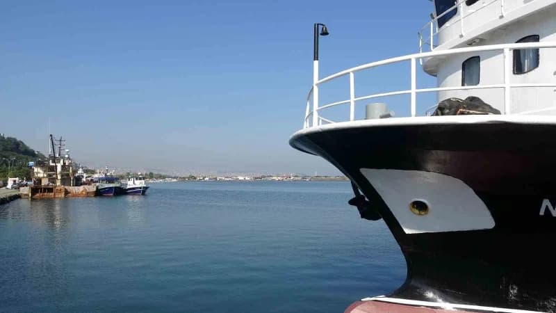 Palamut bolluğu bir yandan vatandaşın yüzünü güldürürken bir yandan da balıkçılarda endişe uyandırıy