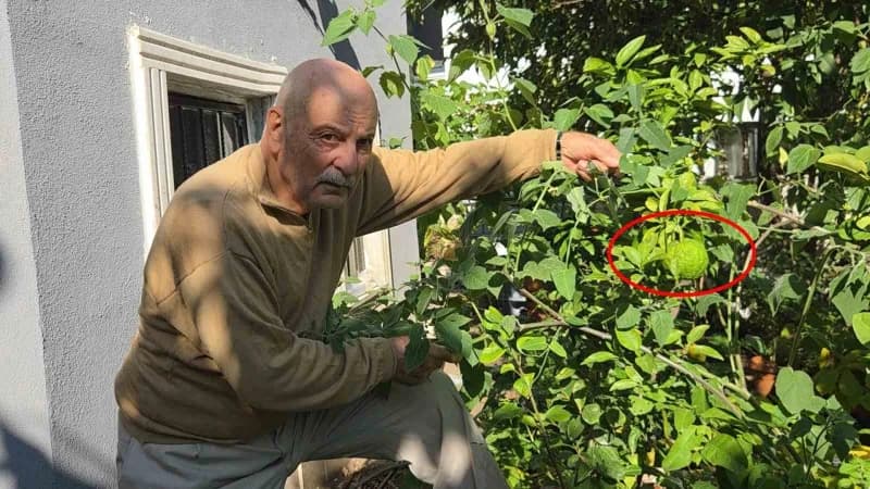Samsun’da yaşayan emekli öğretmen Hakkı Albayrak (82), yurt dışında çalıştığı dönemde Türkiye’ye get