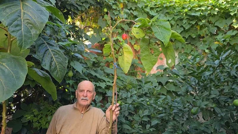 Samsun’da yaşayan emekli öğretmen Hakkı Albayrak (82), yurt dışında çalıştığı dönemde Türkiye’ye get