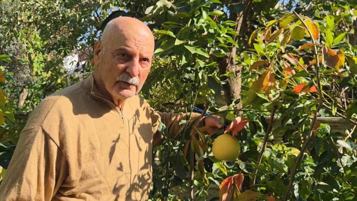 Samsun’da bahçesinde pomelo ve siyah hurma yetiştiren emekli öğretmen Hakkı Albayrak