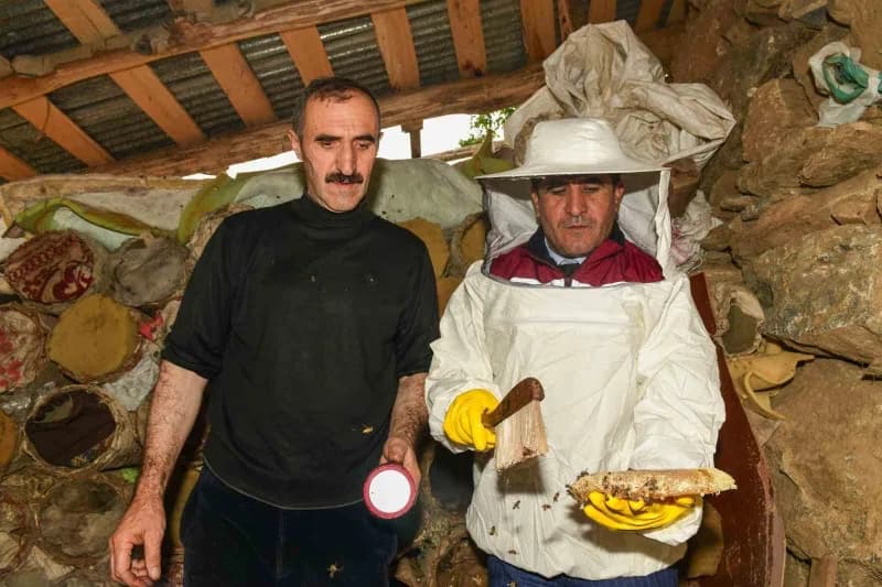 Van'ın Çatak ilçesinde, doğal bitki örtüsü ve yüksek rakımlı yaylalarda arıların ürettiği karakovan