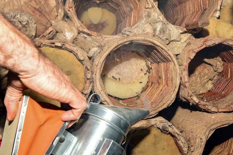 Van'ın Çatak ilçesinde, doğal bitki örtüsü ve yüksek rakımlı yaylalarda arıların ürettiği karakovan