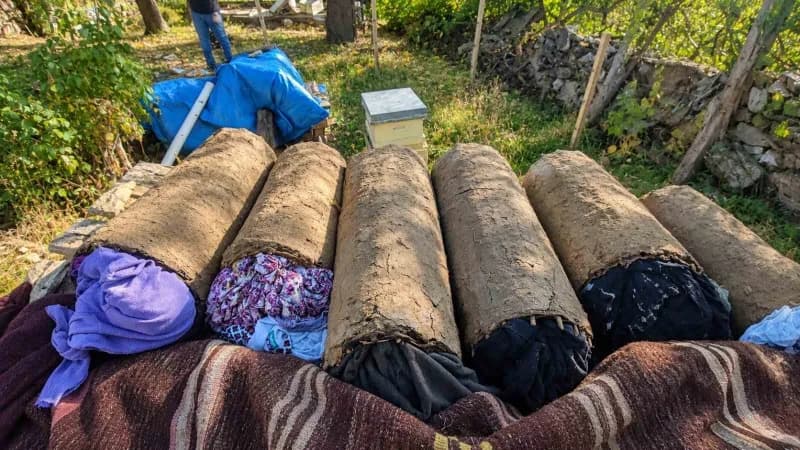Bahçede karakovanlar