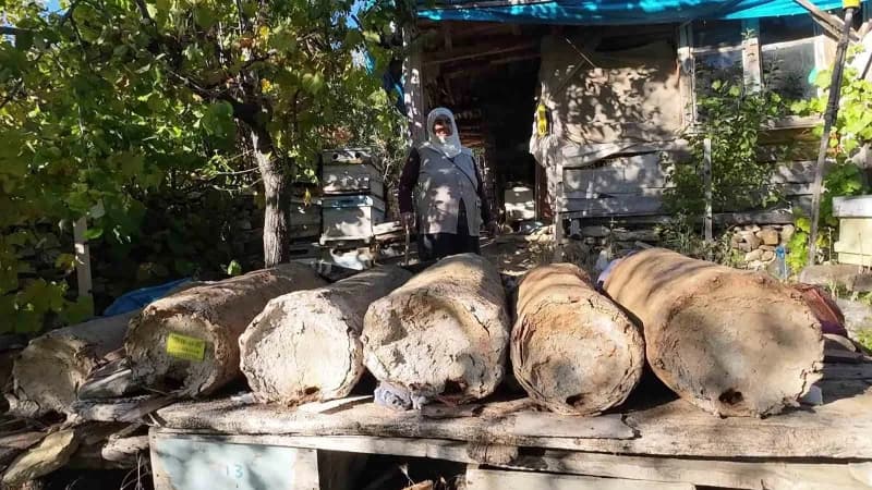 Yozgat Çayıralan'da 85 yaşındaki Hatice Orhan karakovan balı üretimi yaparken