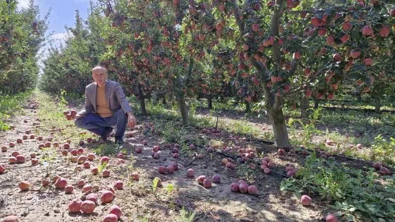Karaman Ziraat Odası Başkanı Mehmet Bayram açıklama yaptı