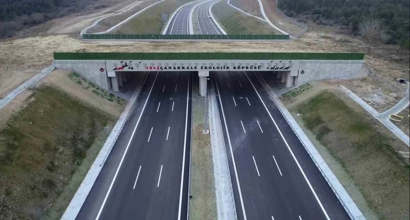 Karayolu ve demiryolunda 21 ekolojik köprü tamamlandı