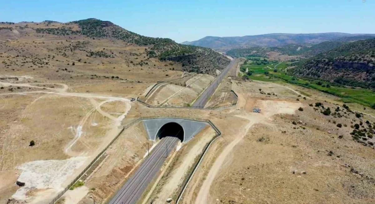 Karayolu ve demiryolunda 21 ekolojik köprü tamamlandı