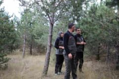 Kars Kent Ormanı alanında yapılan inceleme ve ağaçlandırma çalışmaları