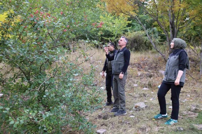 Kars’a yeni yeşil yaşam alanı geliyor: Kent Ormanı için düğmeye basıldı(Kars-iha)