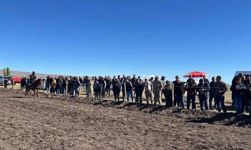 Kars'ta bu yıl 5’incisi düzenlenen Geleneksel Rahvan At Yarışları, renkli görüntülere ve kıyasıya mücadelelere sahne old