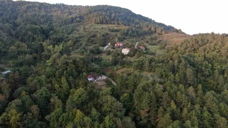 Türkiye’nin önemli kestane üretim merkezlerinden Kastamonu’da Doğanyurt ilçesinde kuzu kestanesi hasadı başladı.