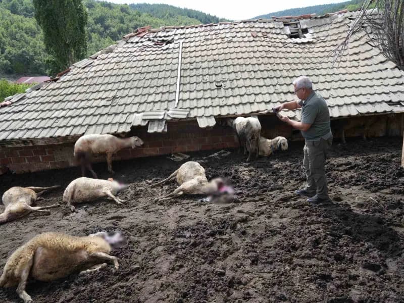Kastamonu Doğa Koruma ve Milli Park Müdürlüğü (DKMP) ekipleri, ahırda incelemelerde bulunarak aile ile görüştü.