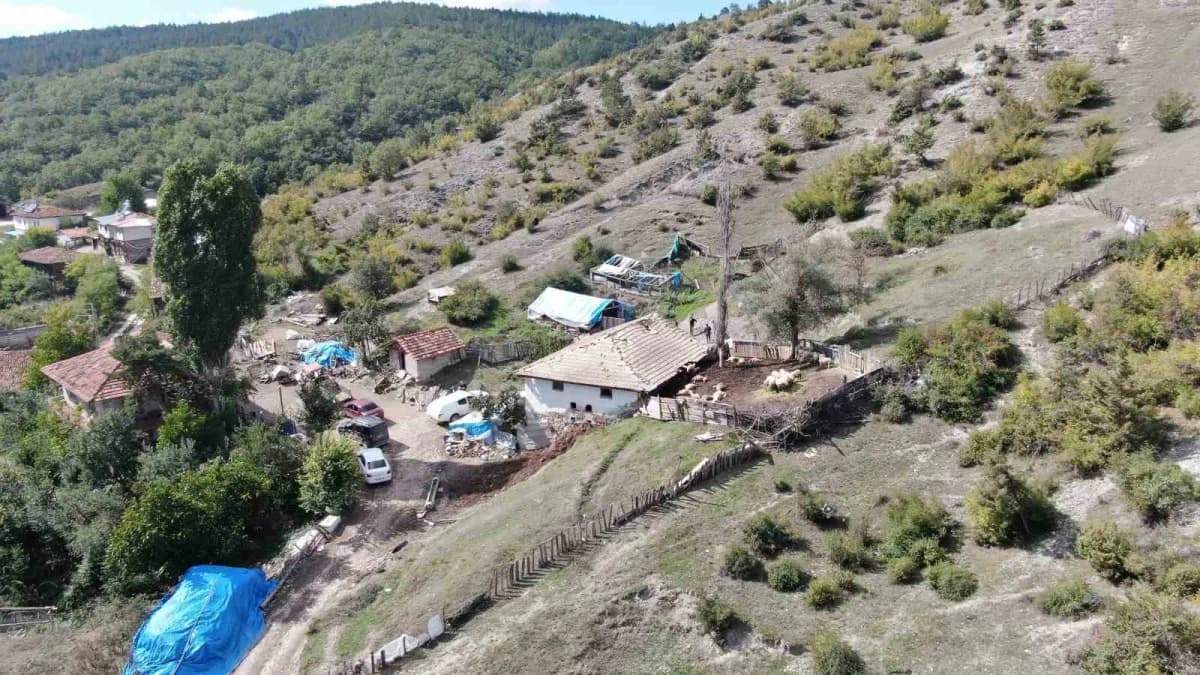 Kastamonu’da köye kadar inen kurtlar, girdikleri ahırda 18 koyunu telef etti, 11 koyunu da ağır yaraladı.
