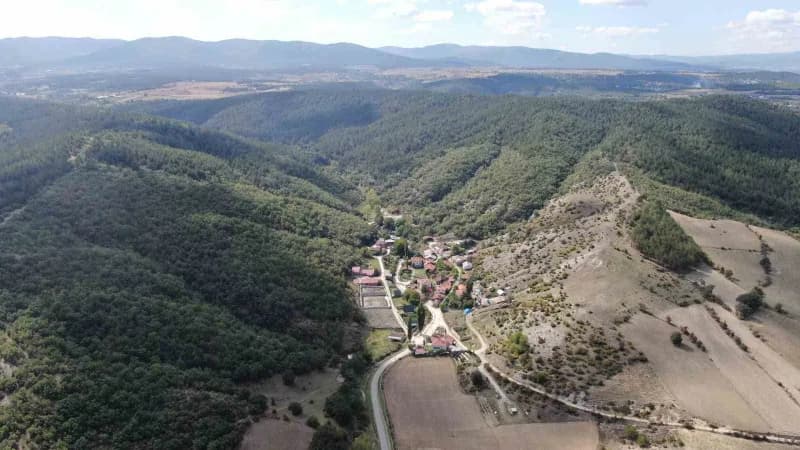 Kastamonu’da köye kadar inen kurtlar, girdikleri ahırda 18 koyunu telef etti, 11 koyunu da ağır yaraladı.