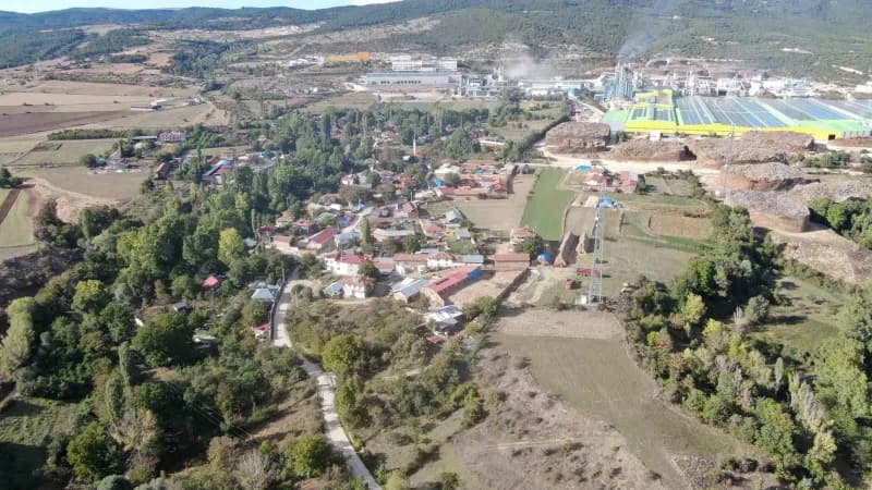 Sadece Kastamonu'da yetişen Osmanlı mutfağının da vazgeçilmez meyvelerinden coğrafi işaret belgeli endemik bitki türü ol