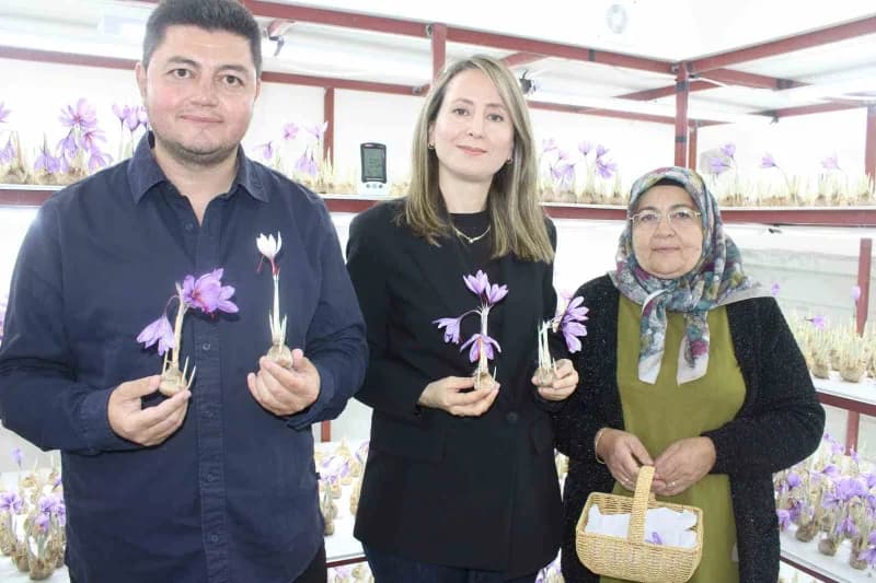 Girişimci Mustafa Demir, ziraat Yüksek Mühendisi Raisa Kalkay ilk hasadı gerçekleştirdi.