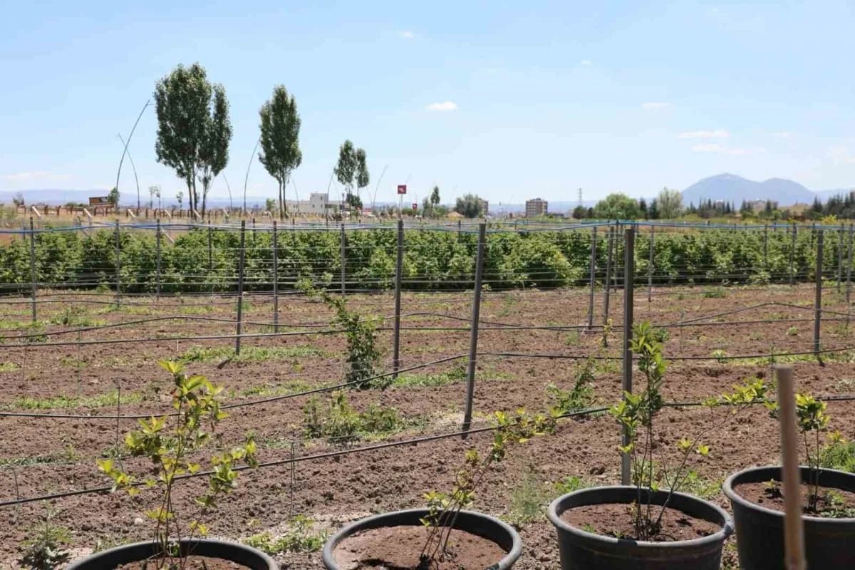 Kocasinan Belediyesi’nin şehir merkezinde hayata geçirdiği Kadın girişimcileri destekleme projesi kapsamında, 80’den faz