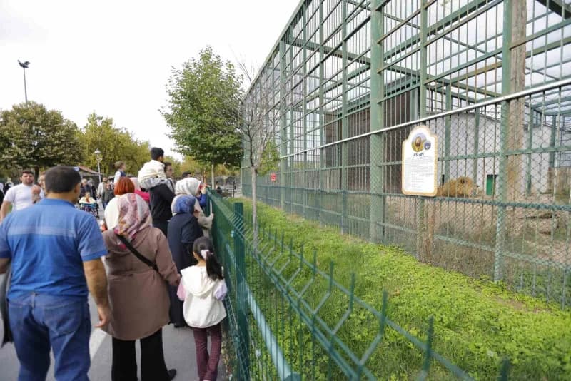 Kayseri Büyükşehir Belediyesi’nin 4 Ekim Dünya Hayvanları Koruma Günü dolayısıyla Anadolu Harikalar Diyarı Hayvanat Bahç