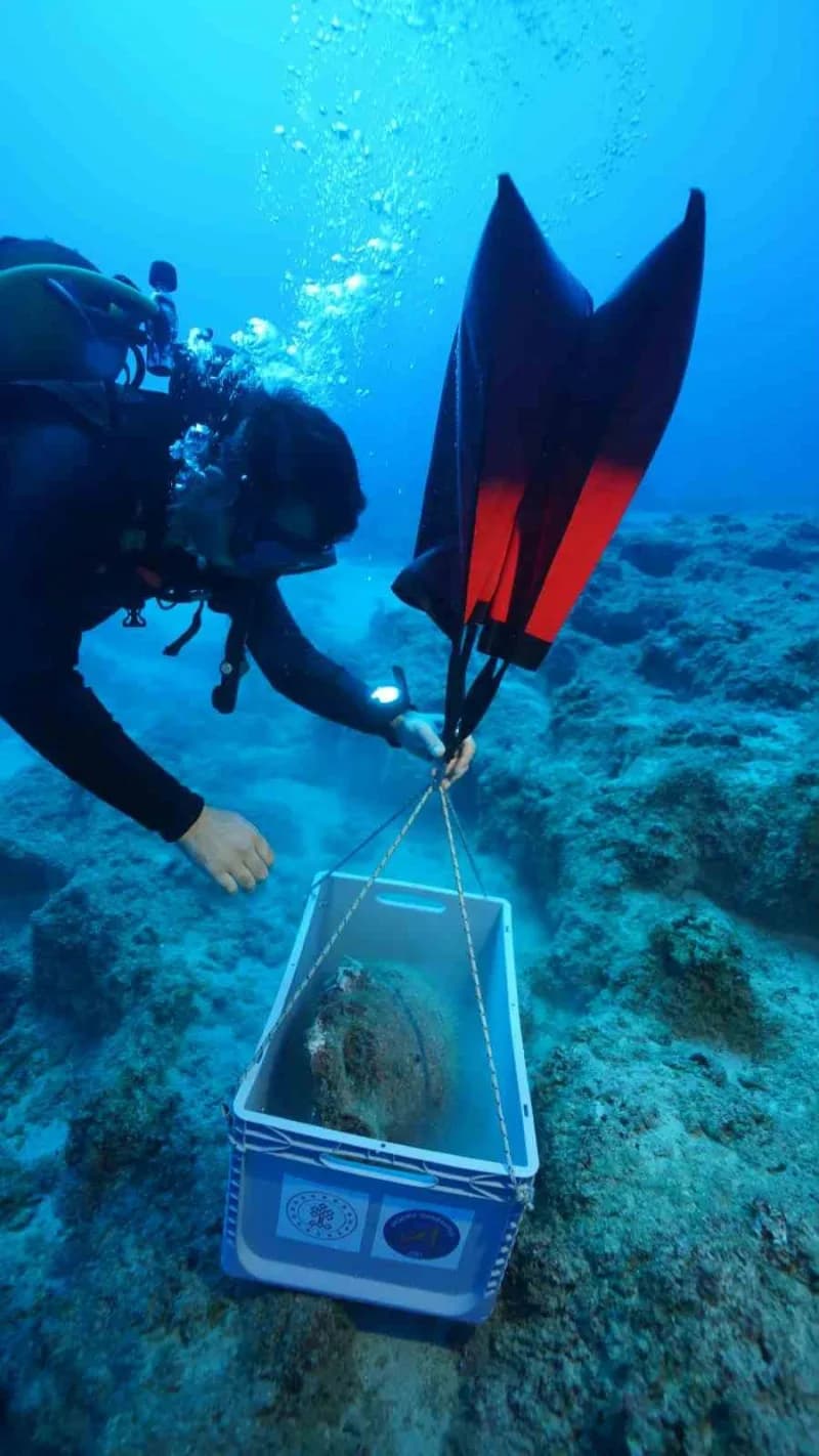 Dünyanın en eski batığı Kekova'da bulundu