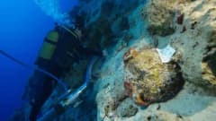Antalya Kekova Adası yakınlarında bulunan dünyanın en eski batığına ait amforalar ve su altı kazı çalışmaları