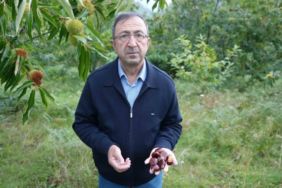 Samsun Ondokuz Mayıs Üniversitesi (OMÜ) Ziraat Fakültesi Bahçe Bitkileri Öğretim Üyesi Prof. Dr. Ümit Serdar,