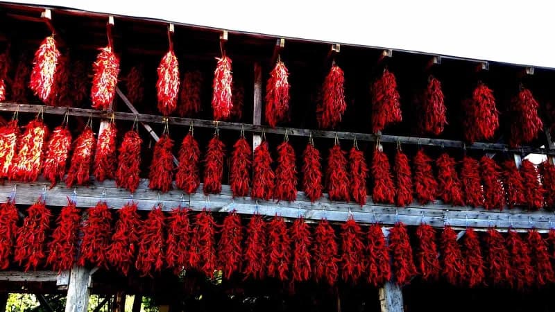 Çukurören köyünde yetiştirilen ve 6 yıl önce coğrafi işaret alarak tescil edilen acı kırmızıbiber, duvar ve balkonlarda