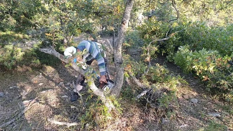 Yozgat'ın Çekerek ilçesine bağlı Kuruçay köyünde yaşayan vatandaşlar, kış mevsimi öncesinde yakacak odun ihtiyaçlarını i
