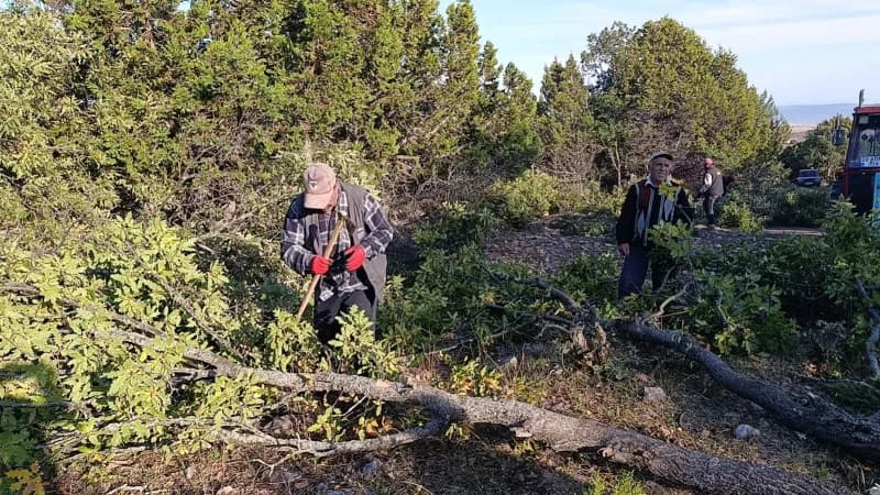 Yozgat'ın Çekerek ilçesine bağlı Kuruçay köyünde yaşayan vatandaşlar, kış mevsimi öncesinde yakacak odun ihtiyaçlarını i