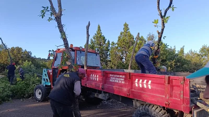 Yozgat'ın Çekerek ilçesine bağlı Kuruçay köyünde yaşayan vatandaşlar, kış mevsimi öncesinde yakacak odun ihtiyaçlarını i