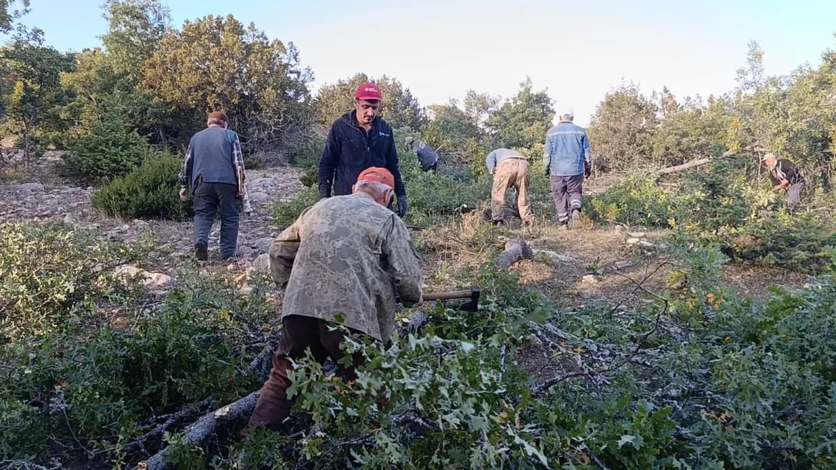 Yozgat'ın Çekerek ilçesine bağlı Kuruçay köyünde yaşayan vatandaşlar, kış mevsimi öncesinde yakacak odun ihtiyaçlarını i