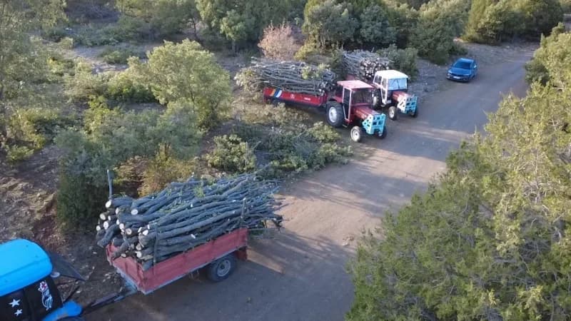 Yozgat'ın Çekerek ilçesine bağlı Kuruçay köyünde yaşayan vatandaşlar, kış mevsimi öncesinde yakacak odun ihtiyaçlarını i