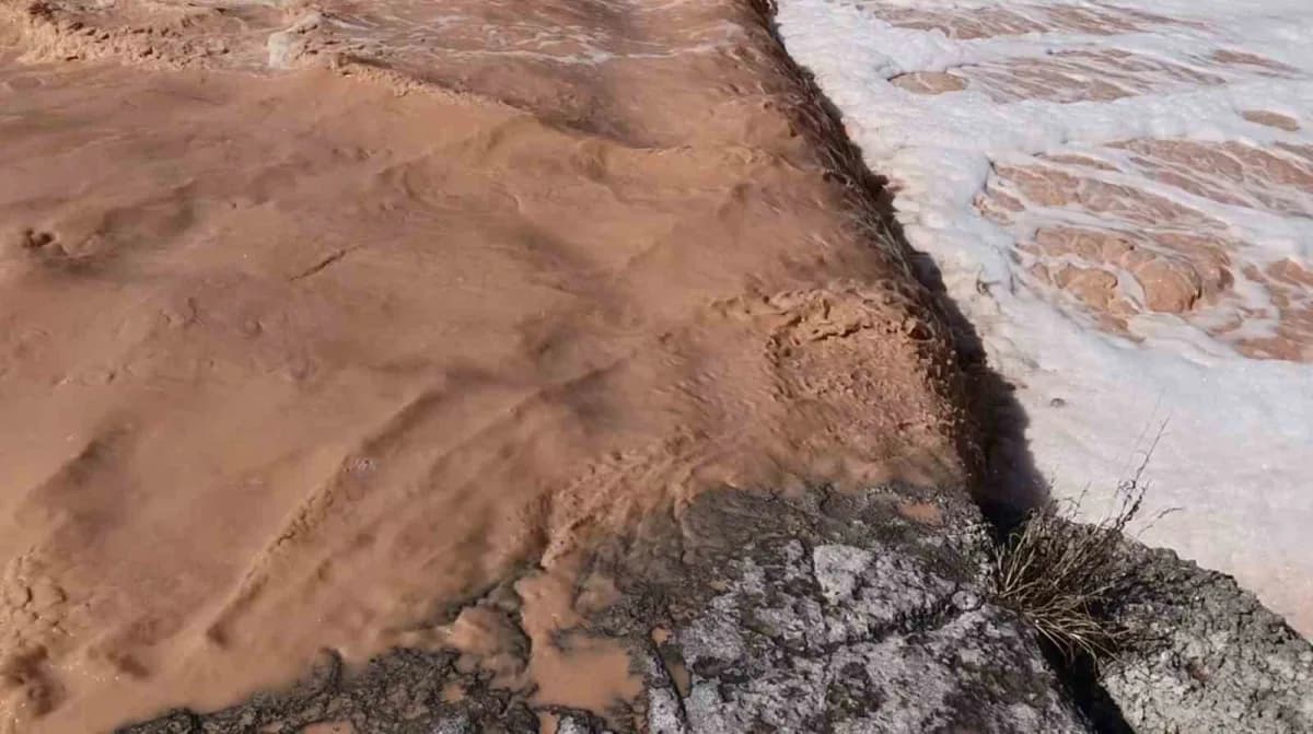 Kocaeli’nin Gebze ilçesinde bir derede oluşan köpüklenme ve ağır koku, bölgede yaşayan vatandaşların tepkisine neden old