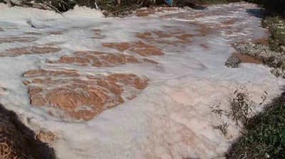 Kocaeli Gebze Tavşanlı Mahallesi Elmacık Deresi’nde köpüren ve koku yayan dere görüntüsü